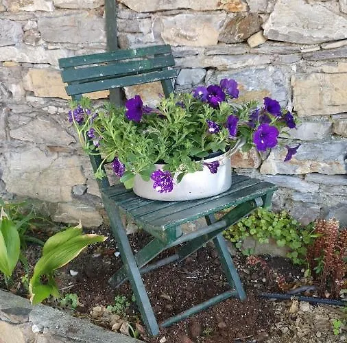 Hotel Zoagli Hotel Zoagli