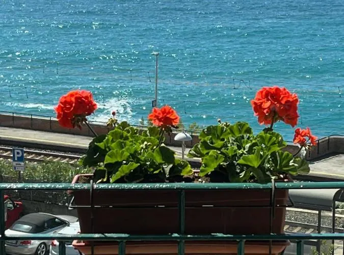 Hotel Zoagli Otel 2*