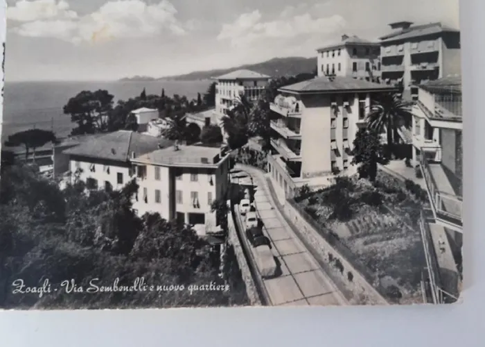 Otel Hotel Zoagli Zoagli