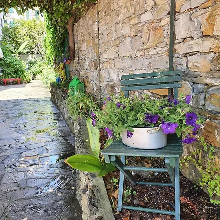 Hotel Zoagli 2* Zoagli