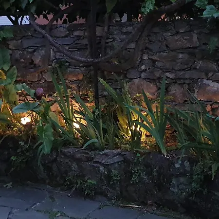 佐亚格里酒店 酒店
