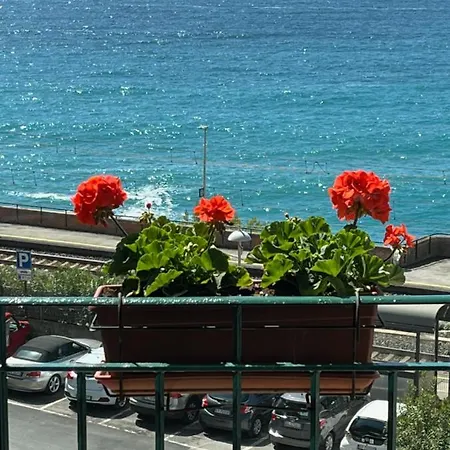 Hotel Zoagli Hotel 2*