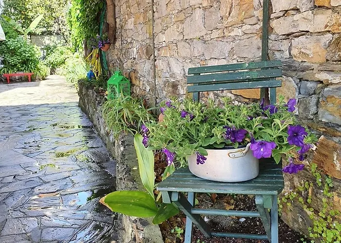 Hotel Zoagli 2* Zoagli